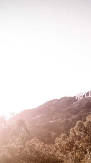 郑州网站建设电话截图4