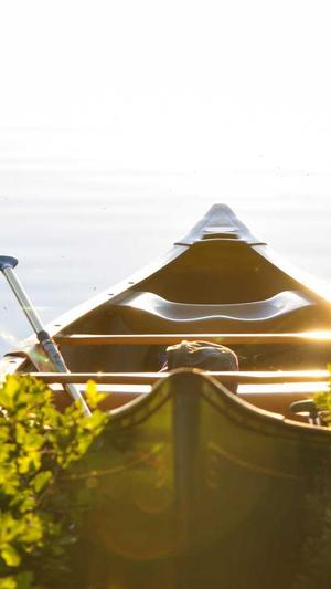 爱站seo工具包电脑版截图4