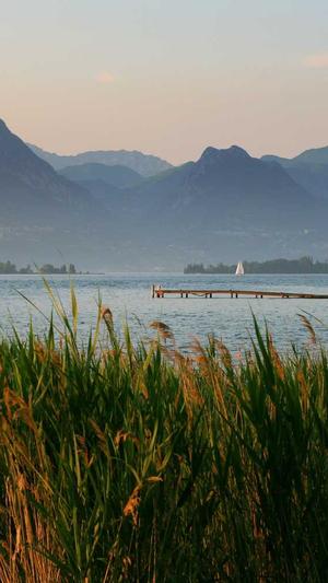 蜘蛛池软件原理截图4