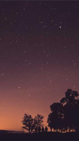 百度蜘蛛池哪家好截图2