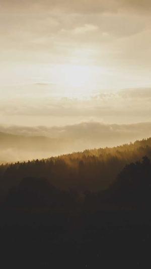 泛目录工具截图3