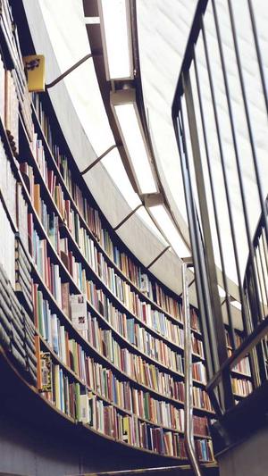 蜘蛛池怎么弄假蜘蛛巢截图4