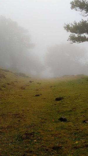 小霸王蜘蛛池破解版截图4