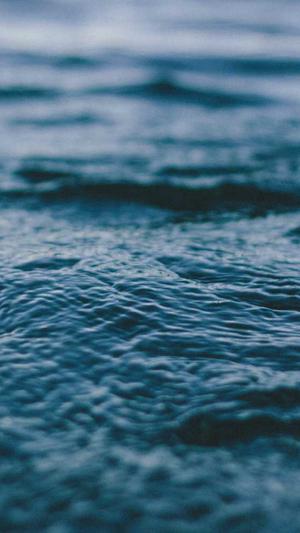 随州网站建设截图1