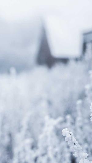 下载站泛目录站群程序截图2