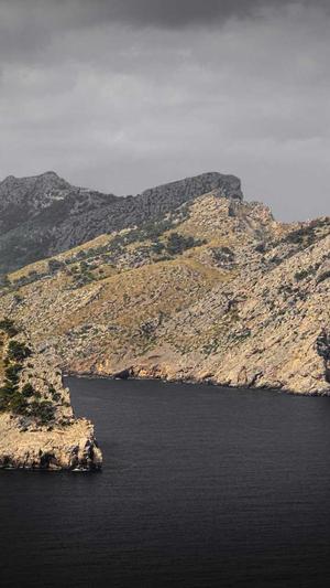 小旋风蜘蛛池搭建截图1