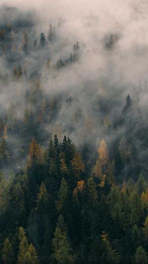 蜘蛛池搭建技术要求截图2