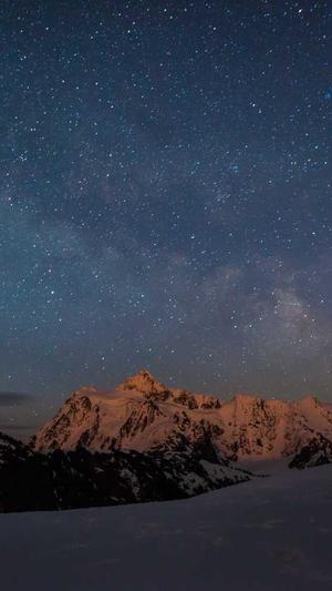 seo必用工具截图5