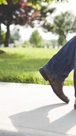 浙江蜘蛛池出租服务截图2