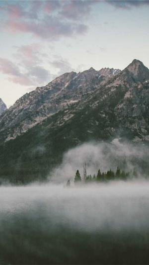 爱站seo工具包电脑版截图3