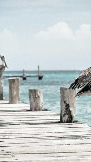 seo 外链工具靠谱吗截图1