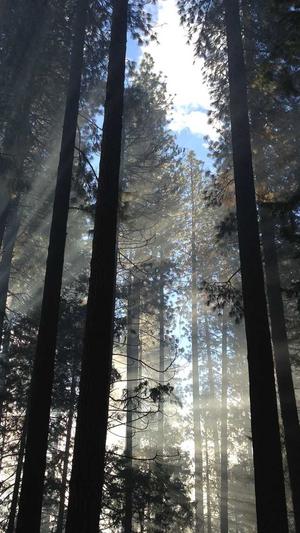 seo工具大全截图2